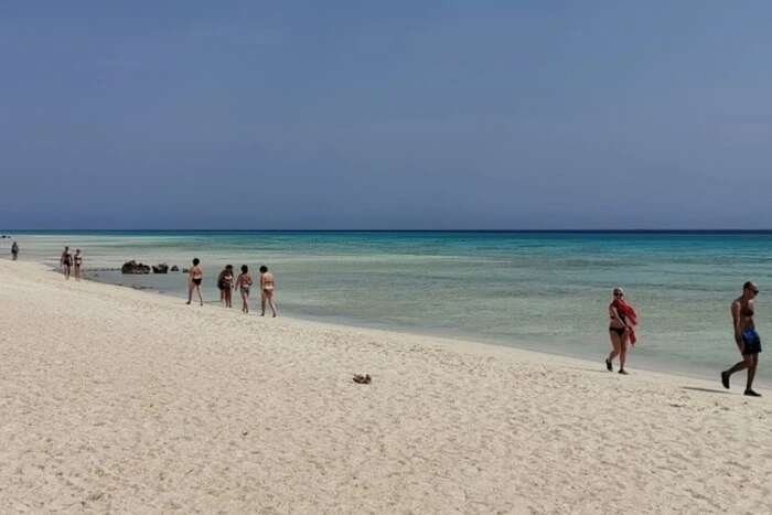 Poważne zagrożenie dla plaż Egiptu: ekolodzy biją na alarm