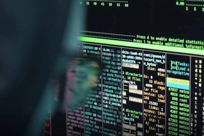 W Polsce miała miejsce masowa cyberatak na rejestry państwowe - media