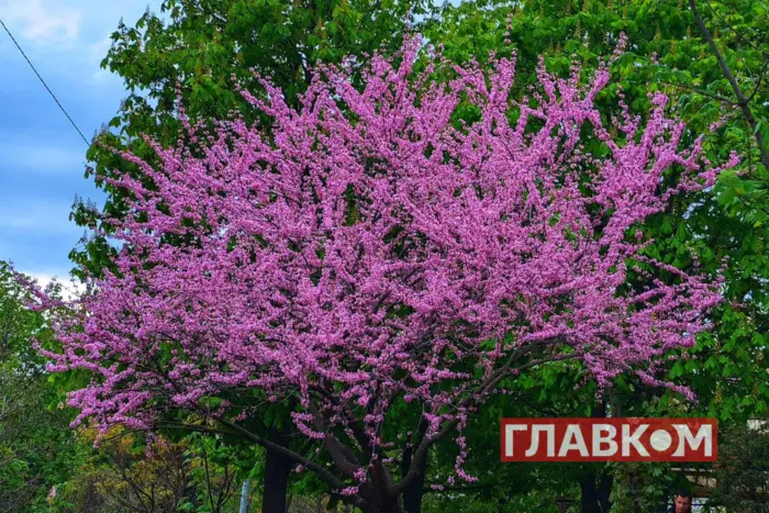 W Ukrainie oczekuje się zmiennej pochmurności: prognoza pogody na 23 kwietnia