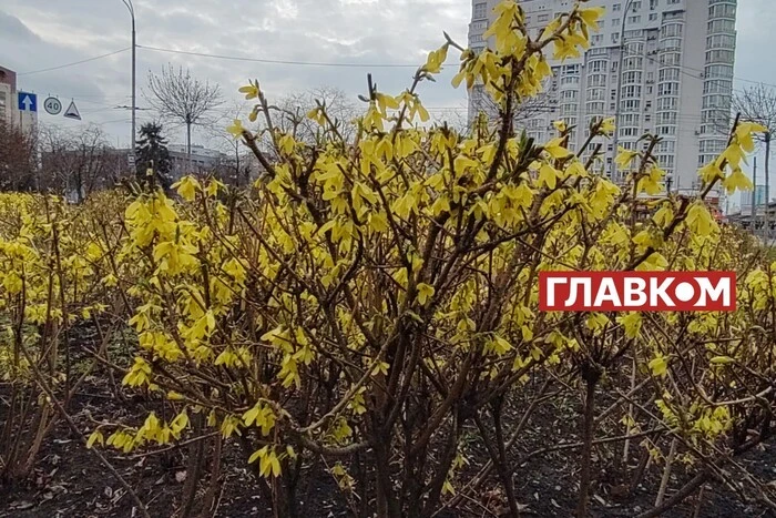 Прогноз погоди на 16 квітня