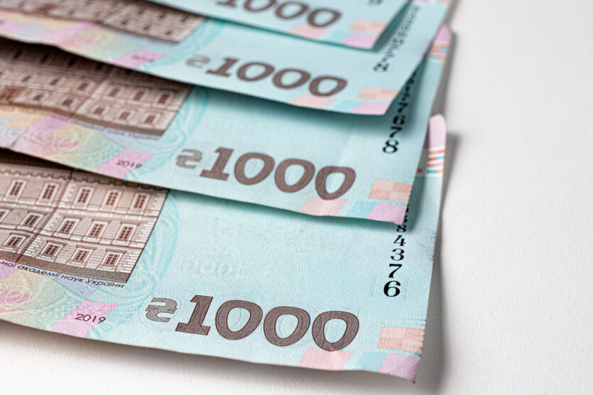 Own Business: Which Business Areas Receive Loans