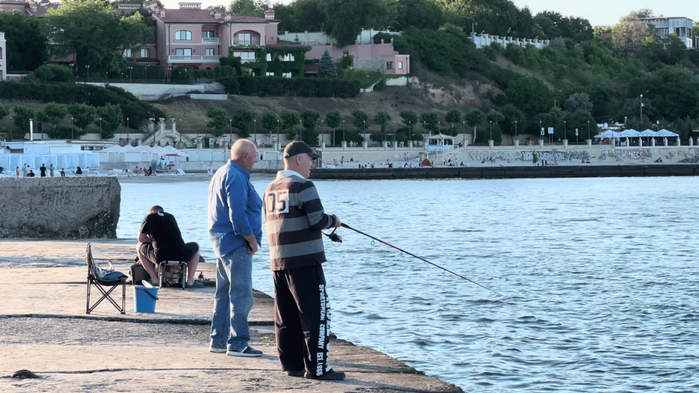 Еколог розповів, чи варто їсти морепродукти з Чорного моря