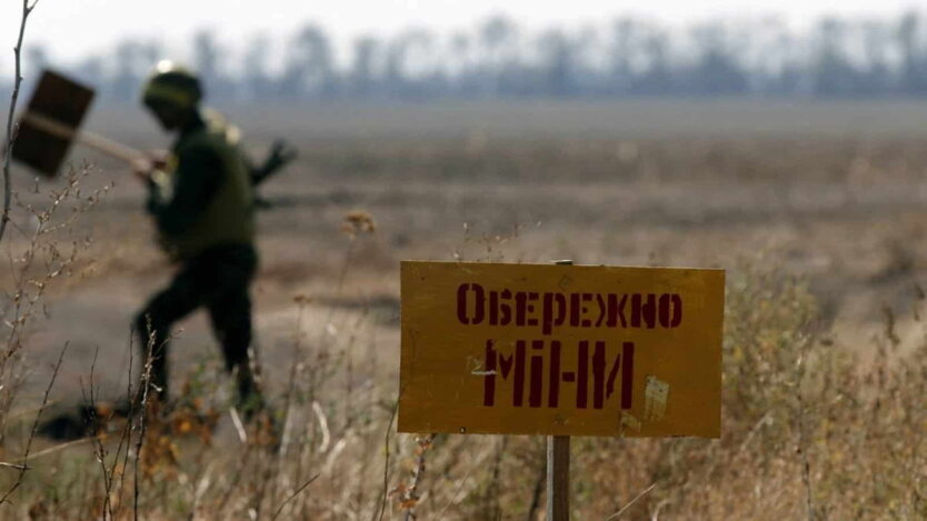 Для розмінування земель в Україні потрібно майже 1 трлн грн - нардеп